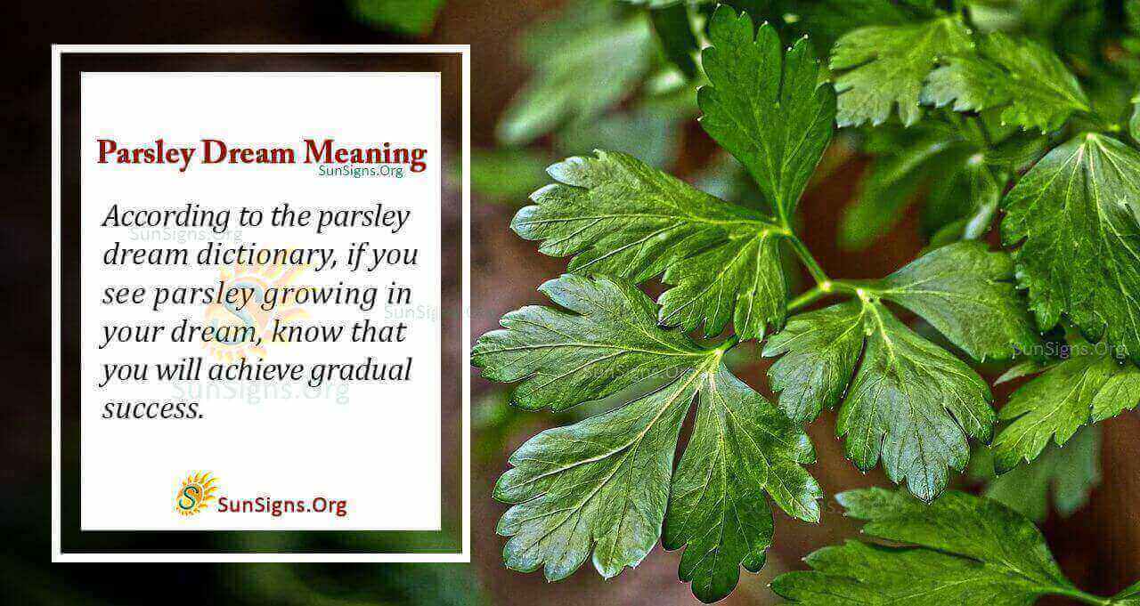 Dream About Parsley Meaning, Interpretation And Symbolism