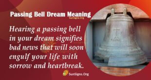 Passing Dream Meaning