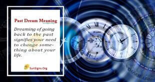 Past Dream Meaning