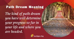 Path Dream Meaning
