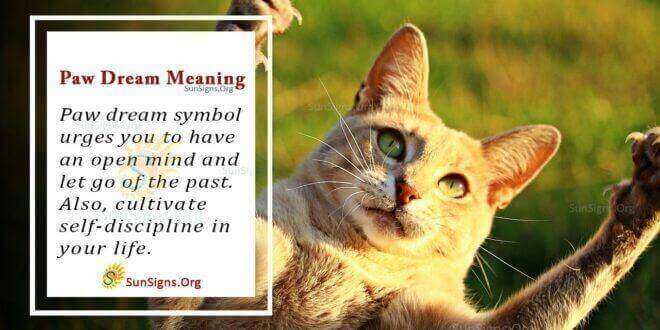 Paw Dream Meaning