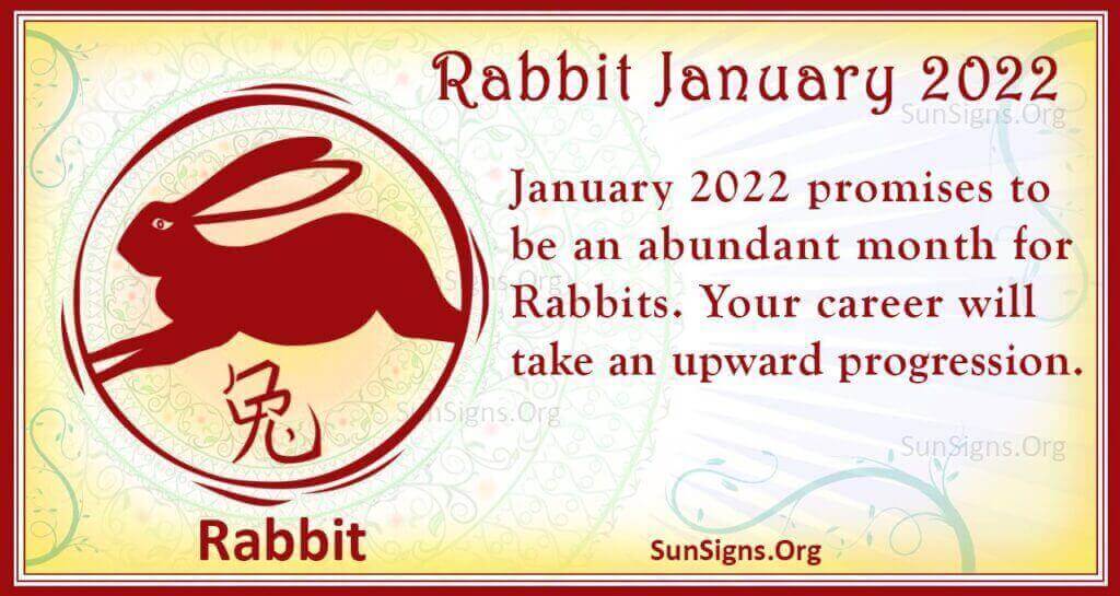rabbit january 2022