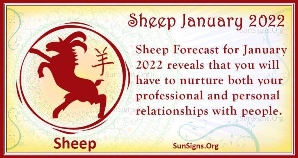 sheep january 2022