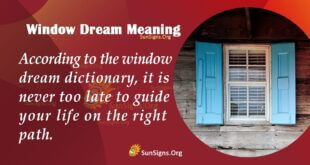 Window Dream Meaning