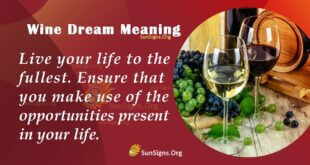 Wine Dream Meaning
