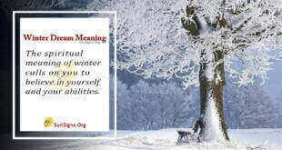 Winter Dream Meaning