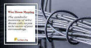 Wire Dream Meaning