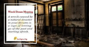 Wreck Dream Meaning