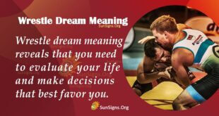 Wrestle Dream Meaning