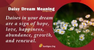 Daisy Dream Meaning