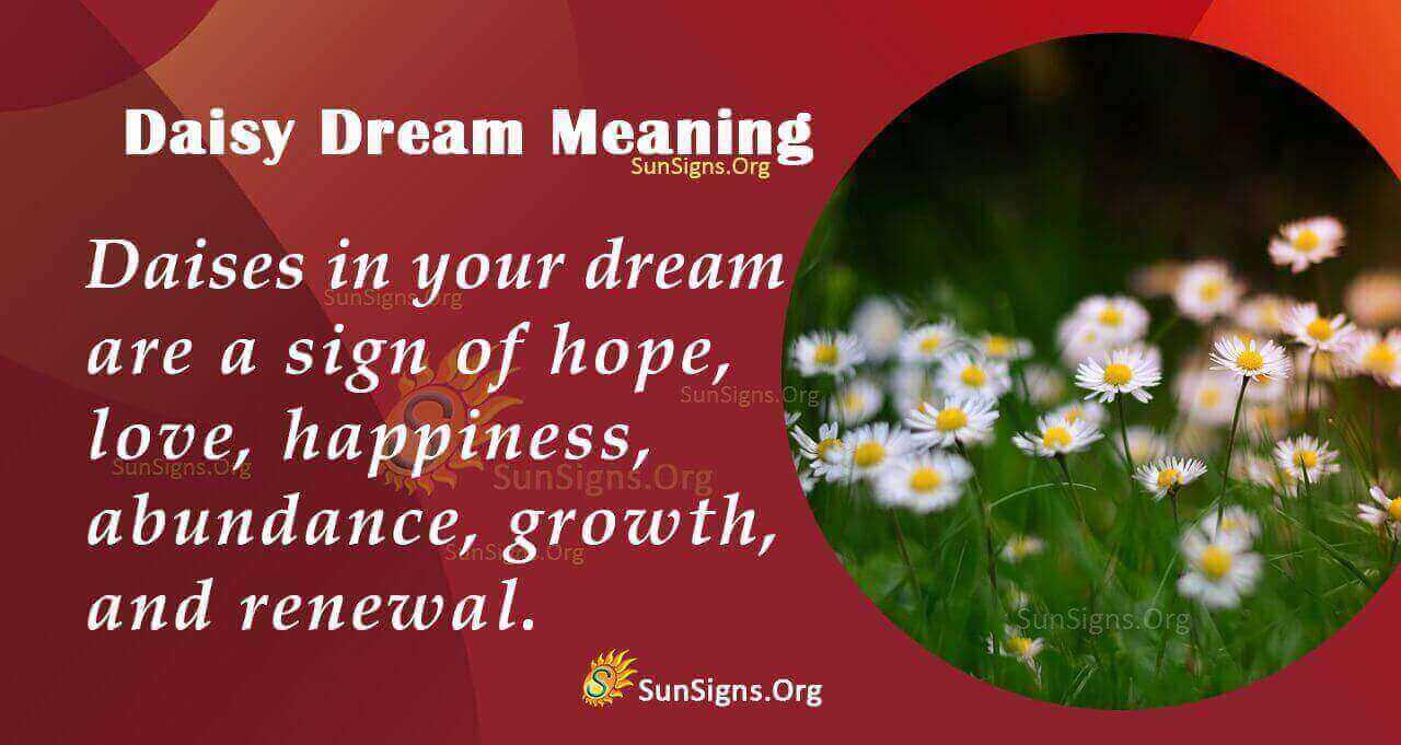 Dreaming Of A Daisy Flower Meaning, Interpretation and Symbolism