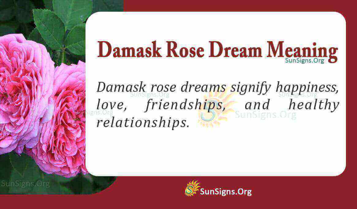 Dreaming Of Damask Rose Meaning, Interpretation and Symbolism