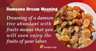 Damson Dream Meaning
