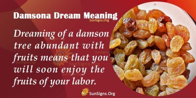 Damson Dream Meaning