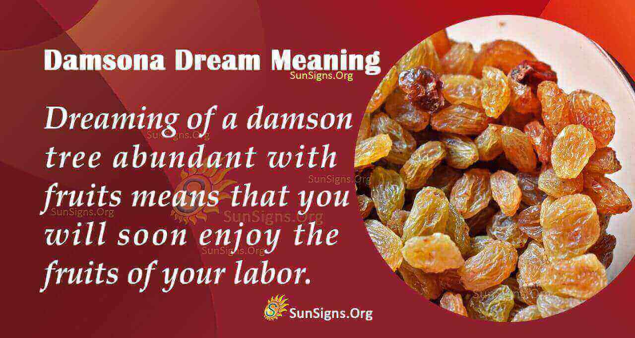 Seeing A Damson In Your Dream Meaning, Interpretation and Symbolism