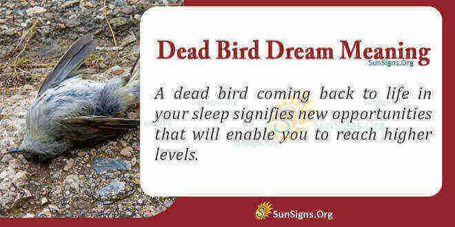 Dead Bird Dream Meaning