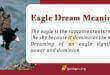 Eagle Dream Meaning