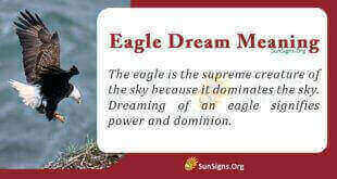 Eagle Dream Meaning