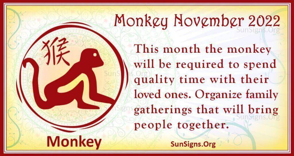 monkey november 2022