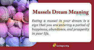 Mussels Dream Meaning