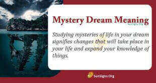 Mystery Dream Meaning