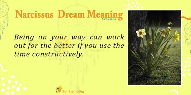 Narcissus Dream Meaning