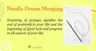 Needle Dream Meaning