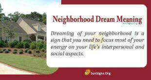 Neighborhood Dream Meaning