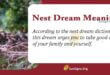 Nest Dream Meaning