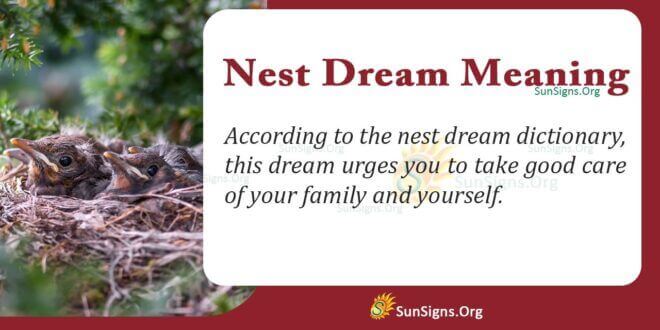 Nest Dream Meaning