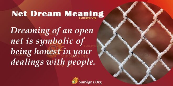 Net Dream Meaning
