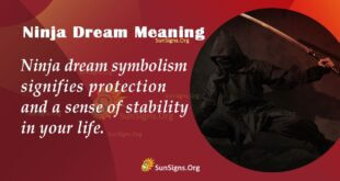 Ninja Dream Meaning