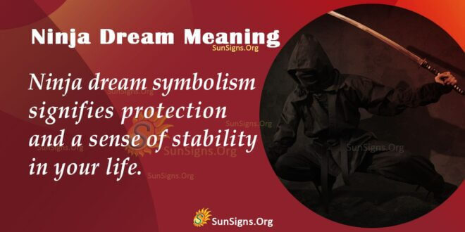 Ninja Dream Meaning