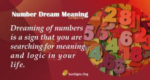 Number Dream Meaning
