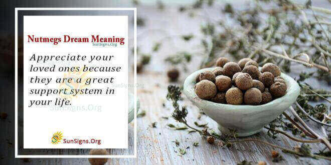 Nutmegs Dream Meaning
