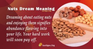 Nuts Dream Meaning