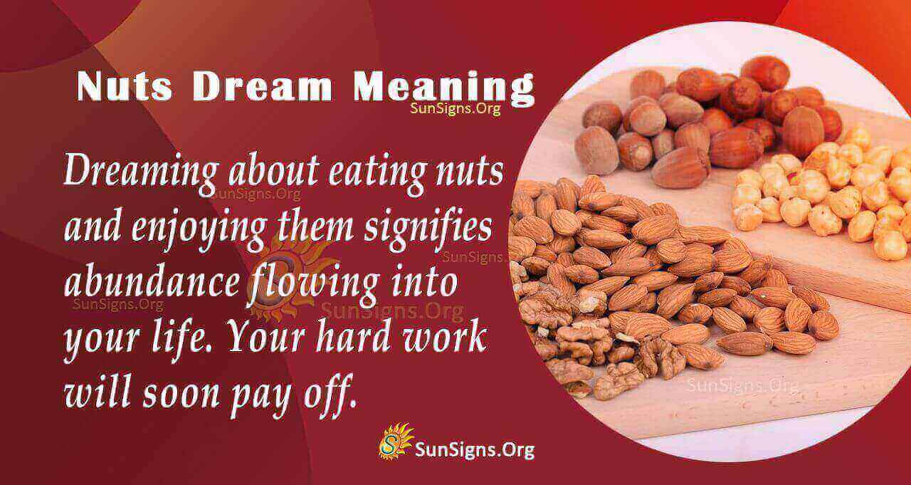 What Dream About Nuts Means? Meaning, Interpretation And Symbolism