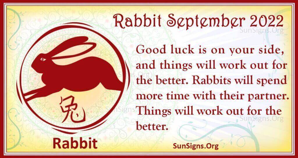 rabbit september 2022