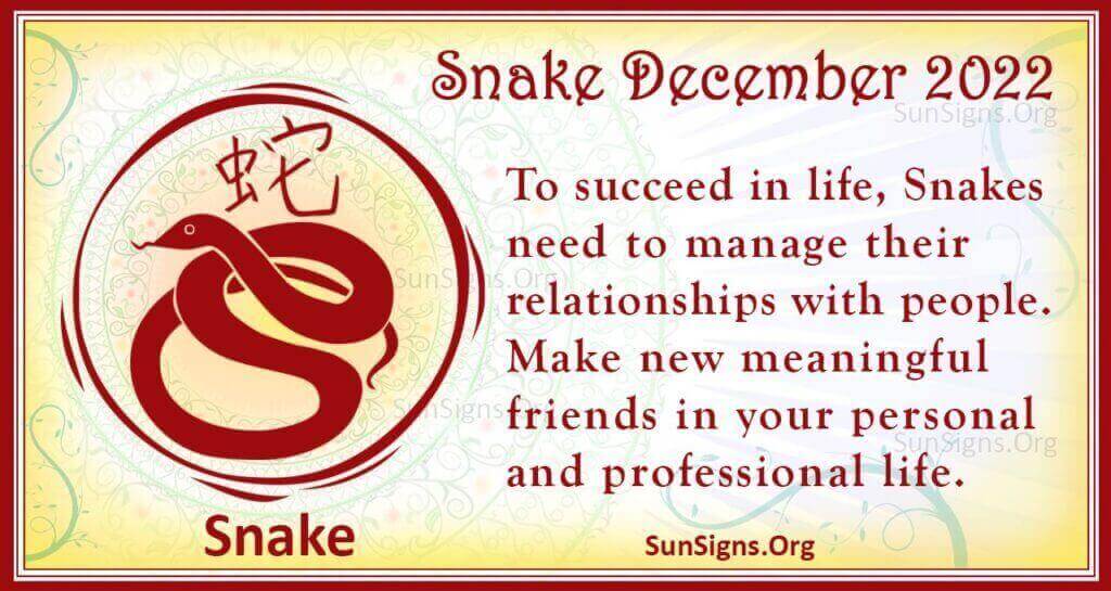 snake december 2022