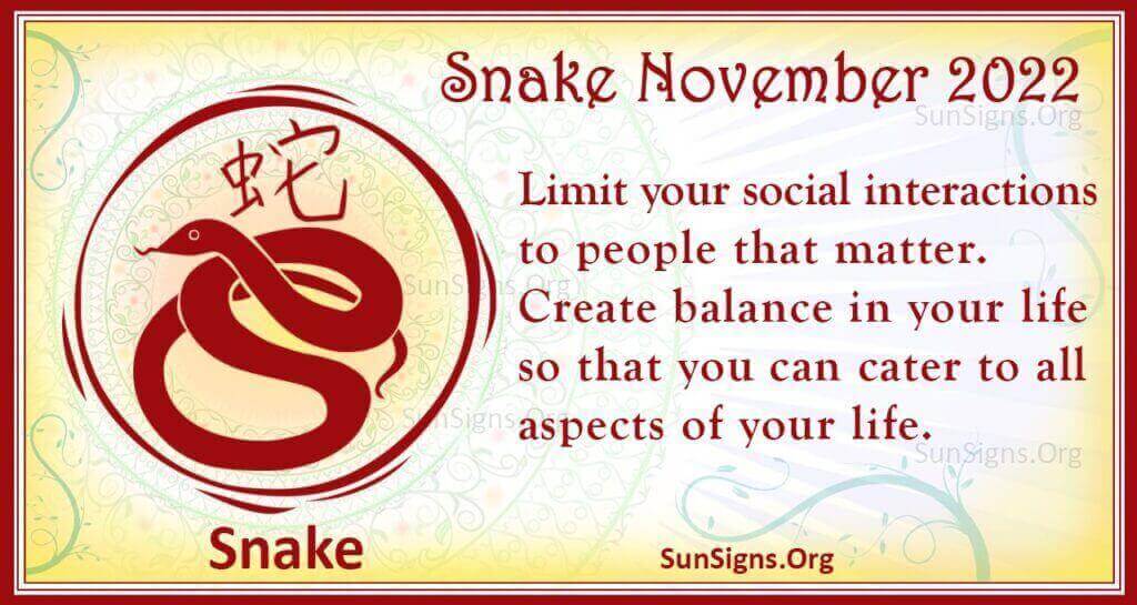 snake november 2022
