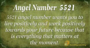 Angel Number 5521
