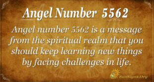 Angel Number 5562