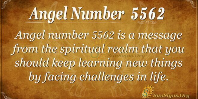 Angel Number 5562