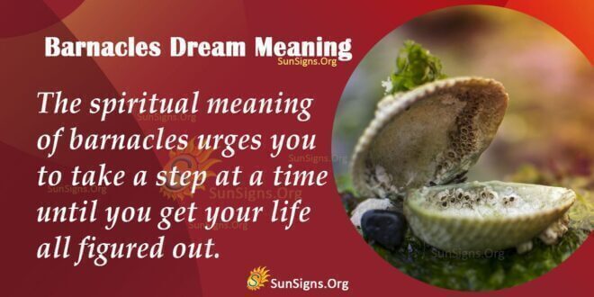 Barnacles Dream Meaning