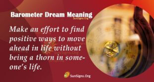 Barometer Dream Meaning