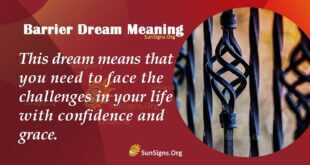 Barrier Dream Meaning