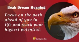 Beak Dream Meaning