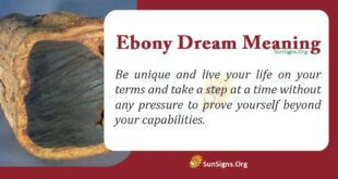 Ebony Dream Meaning