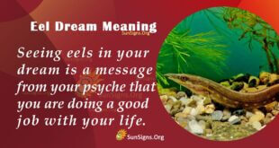 Eel Dream Meaning
