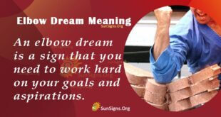 Elbow Dream Meaning